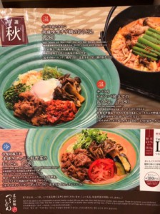 鶏天カレーのおうどん_明太子おにぎり_191211_0002